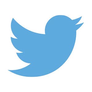 logo do twitter logo do twitter
